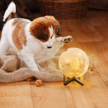 Load image into Gallery viewer, 3D Moon Lamp - Night Light for Creative Gift